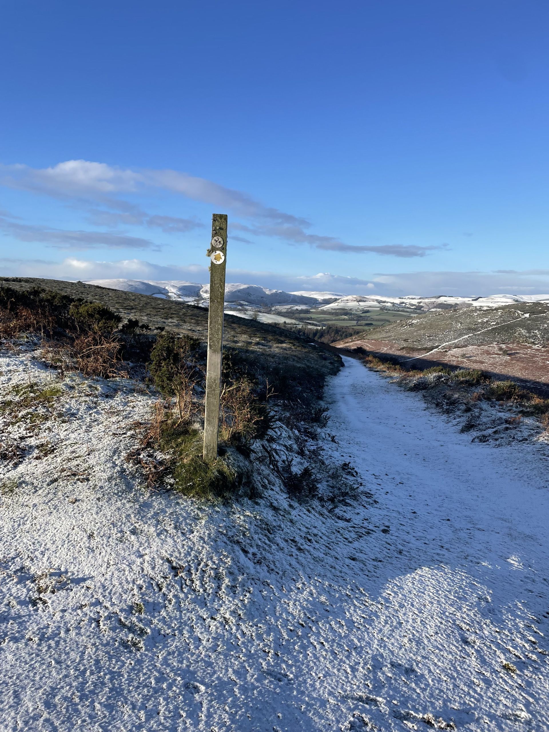 on our way up Hergest Ridge